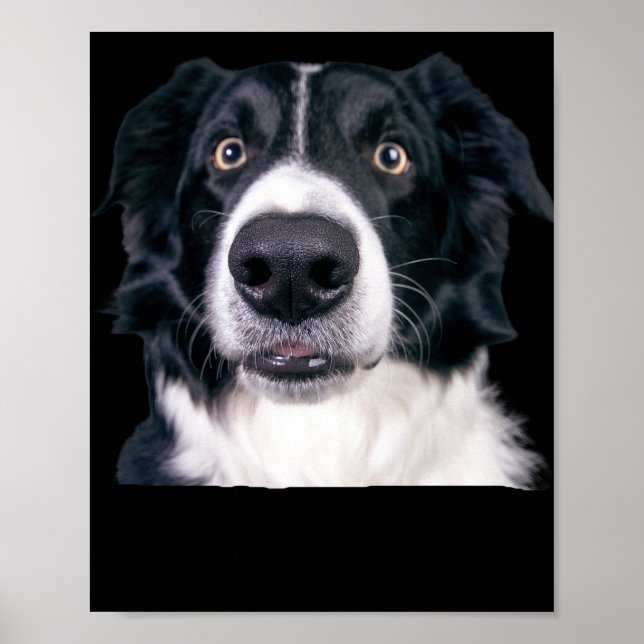 Black and White Dog Face Poster (Front)