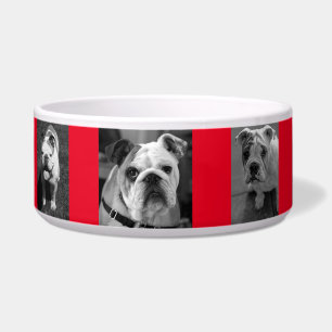 Black and White Dog Photos and Name Personalised