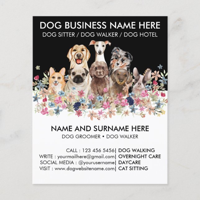 Black and White Dog Walker Pet Sitter Groomer Flyer (Front)