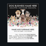 Black and White Dog Walker Pet Sitter Groomer Flyer<br><div class="desc">Black and White Dog Walker Pet Sitter Groomer</div>