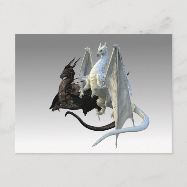 Black and White Dragons Fantasy  Postcard (Front)