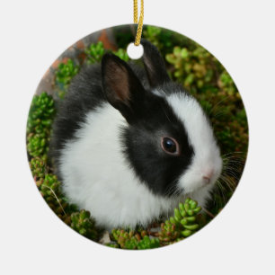 Black and White Dutch Dwarf Mini Bunny Rabbit Ceramic Tree Decoration