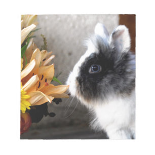 Black and white dwarf rabbit notepad