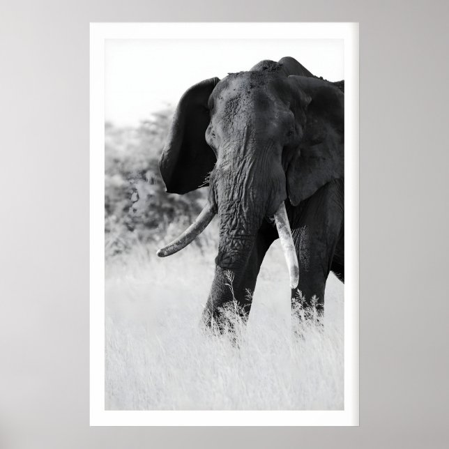 Black and White Elephant Print - Minimalist (Front)
