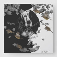 Black and white English setter      