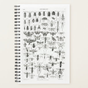 Black and White Entomology Insects Bugs Planner