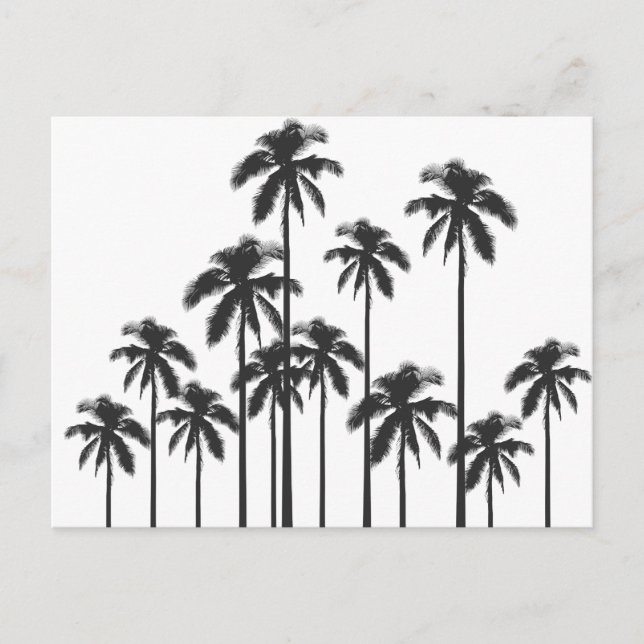 Black and White Exotic Tropical Palm Trees Postcard (Front)
