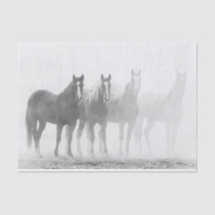 Black And White Fade Out Horses Tissue Paper