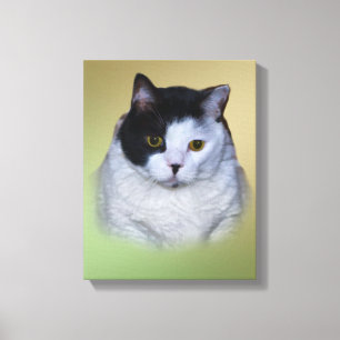 Black and White Fat Cat Canvas Print