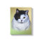 Black and White Fat Cat