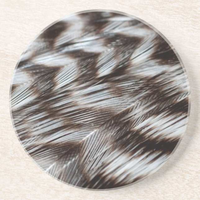 Black and White Feathers in Detail Coaster (Front)