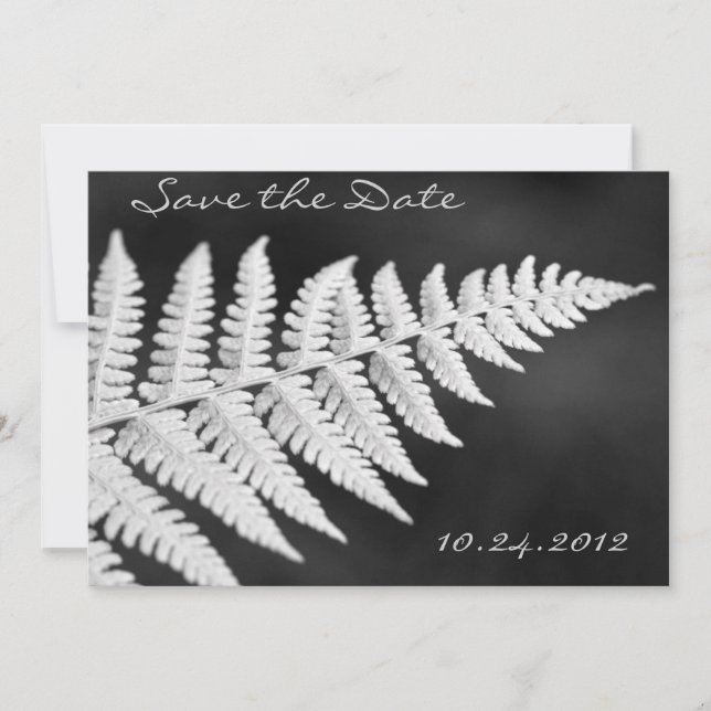 Black and White Fern Save the Date Invitation (Front)