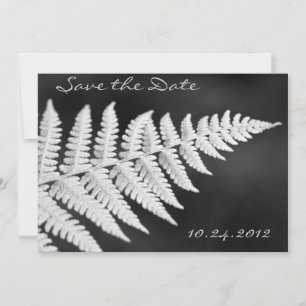 Black and White Fern Save the Date Invitation