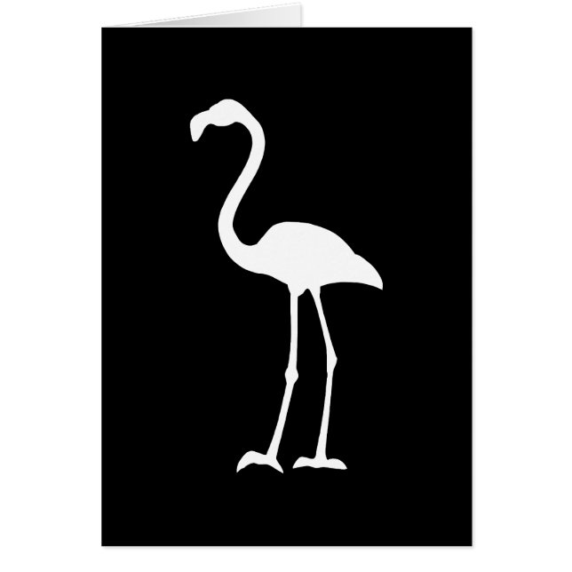 Black and White Flamingo (Front)