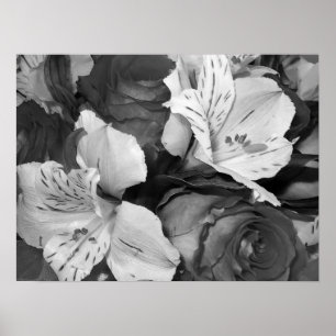 Black and white  floral beauty print