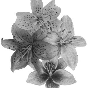 black and white floral contempory art tote bag