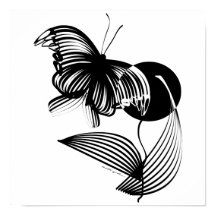 Black and White Floral with Butterfly