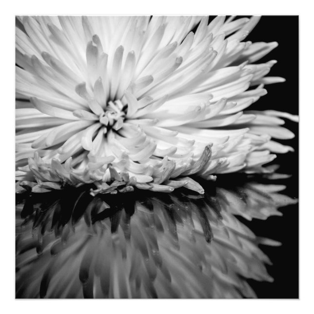 Black and White Flower Photo Print (Front)