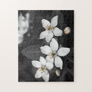 Black and White Flower Photograph Puzzle