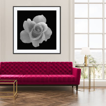 Black and White Flower Photography