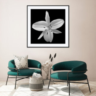 Black and White Flower Photography Poster