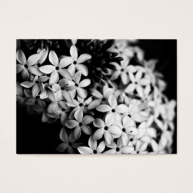 Black and White Flowers (Front)