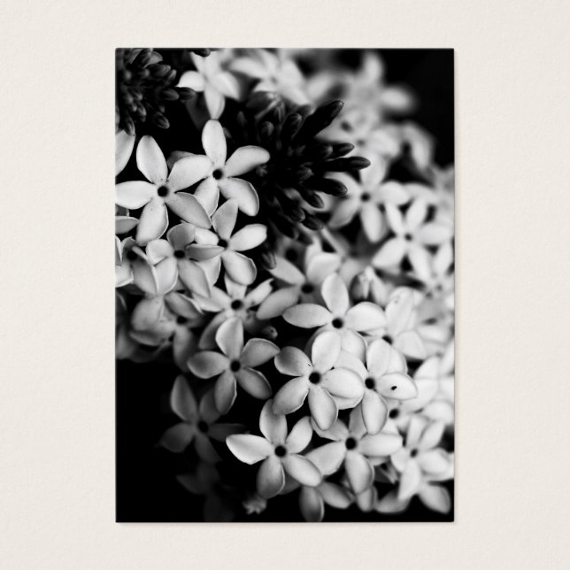 Black and White Flowers (Front)