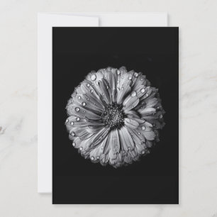 Black And White Flowers 10
