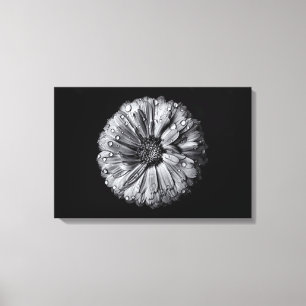 Black And White Flowers 10 Canvas Print