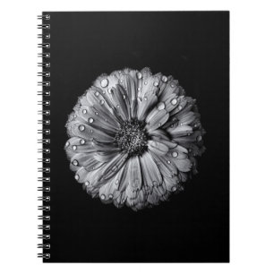 Black And White Flowers 10 Notebook
