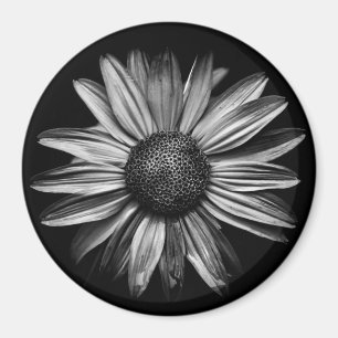 Black And White Flowers 18 Magnet