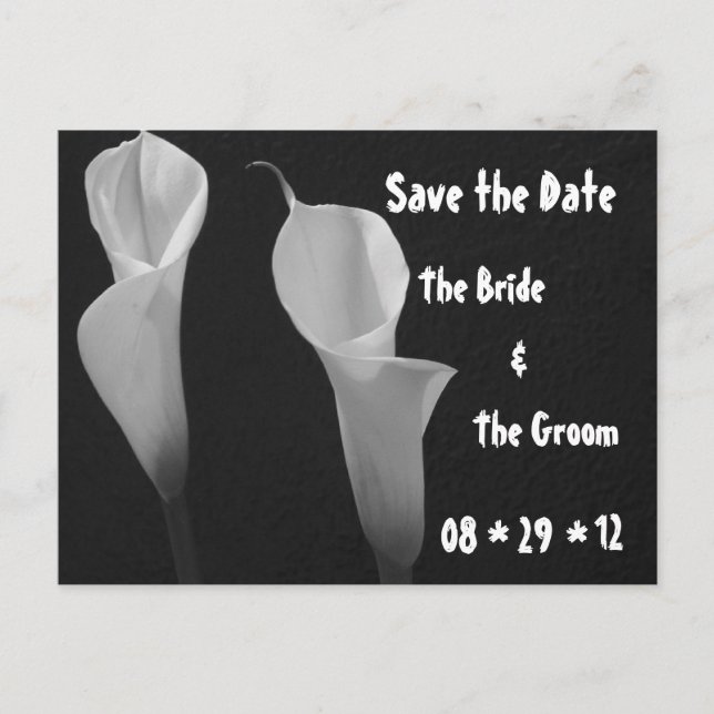 Black and White Flowers Postcard (Front)