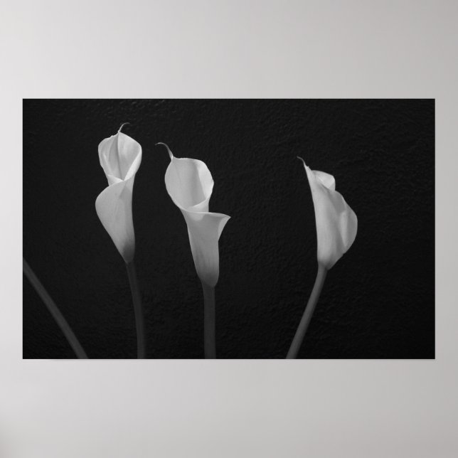 Black and White Flowers Poster (Front)