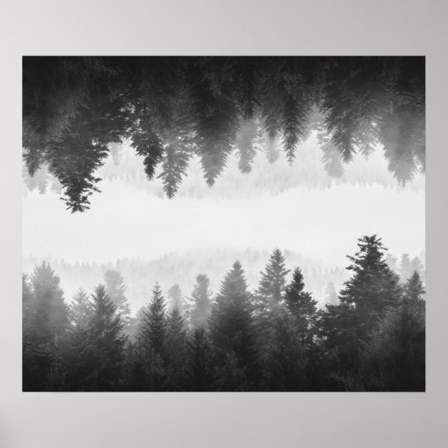 Black and white foggy mirrored forest poster (Front)