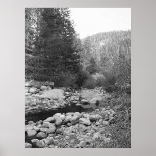 Black and White Forest Creek Poster