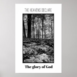 Black and White Forest Glory of God Poster