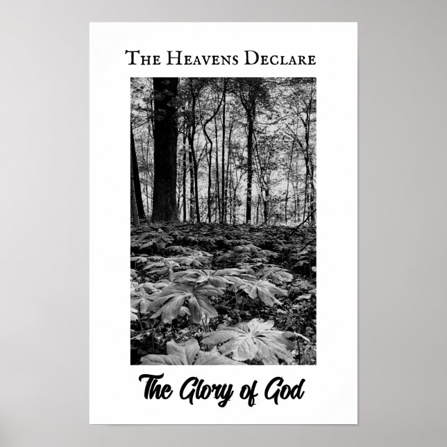 Black and White Forest Glory of God Poster (Front)