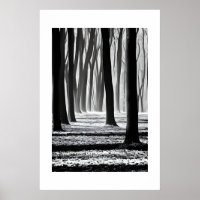 Black and white, forest motif creation.