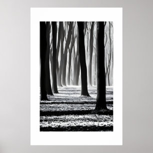 Black and white, forest motif creation. poster