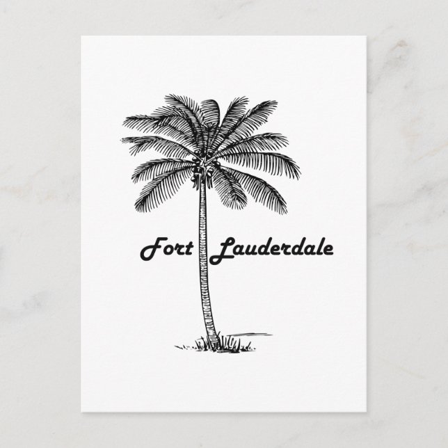 Black and White Fort Lauderdale & Palm design Postcard (Front)
