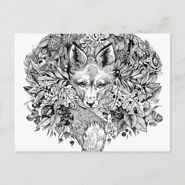 Black and white fox in the forest postcard (Front)