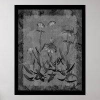 Black And White Framed Daisies Floral Art 