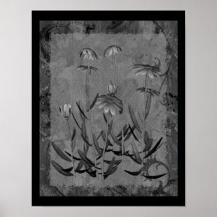 Black And White Framed Daisies Floral Art Poster