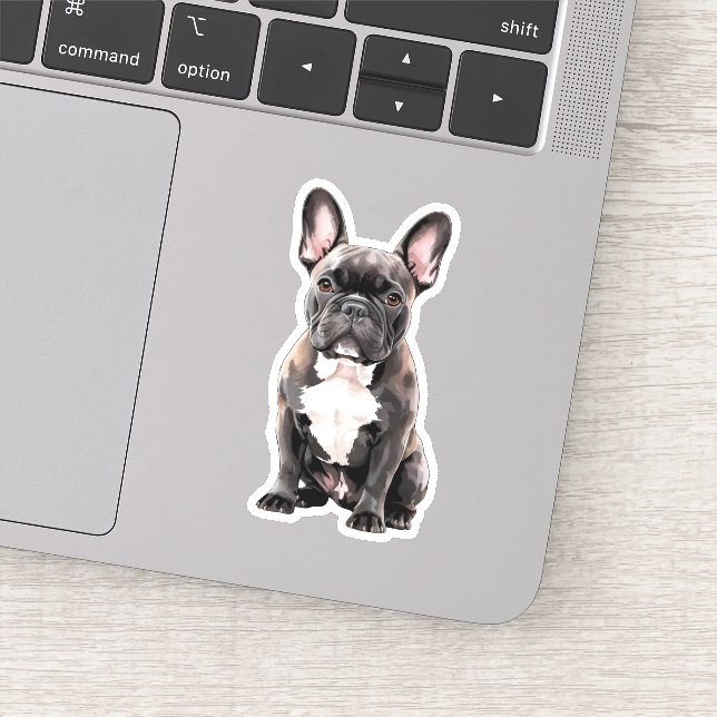 Black and White French Bulldog  (Detail)
