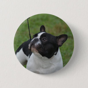 Black and White French Bulldog 6 Cm Round Badge
