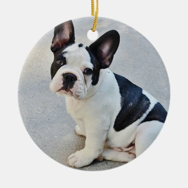 Black and White French Bulldog Ceramic Tree Decoration (Front)