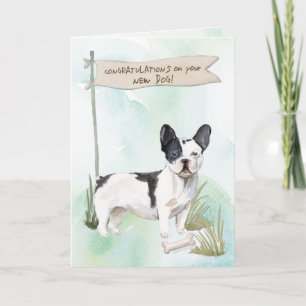 Black and White French Bulldog Congrats on New Dog Card
