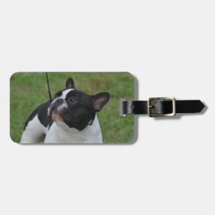 Black and White French Bulldog Luggage Tag