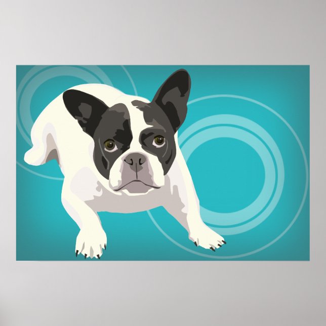 Black and White French Bulldog on Blue Background Poster (Front)
