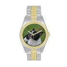 Black and White French Bulldog